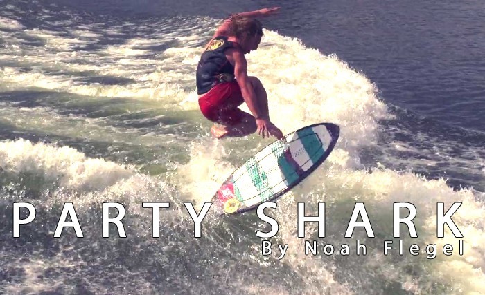 Party Shark - Noah Flegel